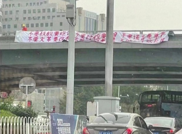 Overseas solidarity with Beijing 'bridge man' protest sparks fears of retaliation