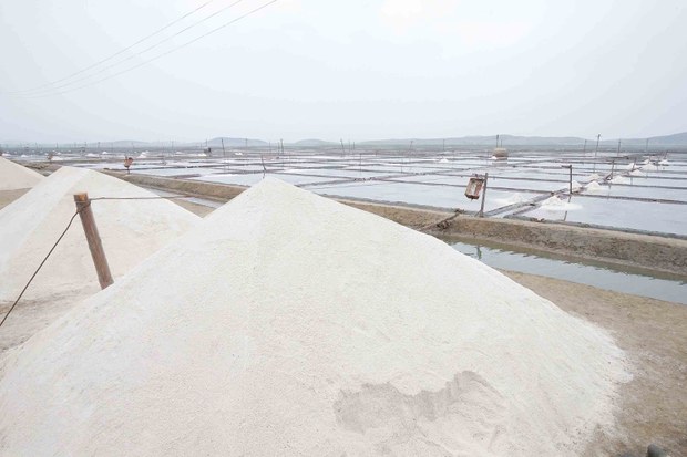 Heavy rain, salt scarcity in North Korea may complicate kimchi season