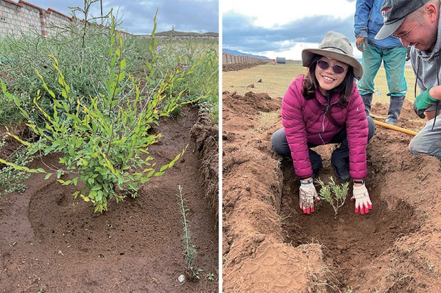 'Changing the environment through hard work': Taiwanese tree-planter in Mongolia