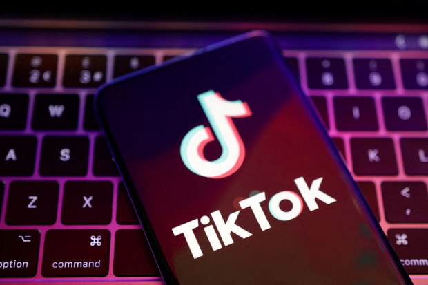 Taiwan considers extending TikTok ban to private sector