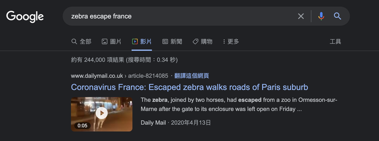 A keyword search revealed that a video released by the Daily Mail matches a clip purporting to show a zebra released during the recent riots. Credit: screenshot taken from Google