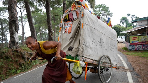 Tibetan Buddhist monk treks more than 2,000 kms on prostrating pilgrimage