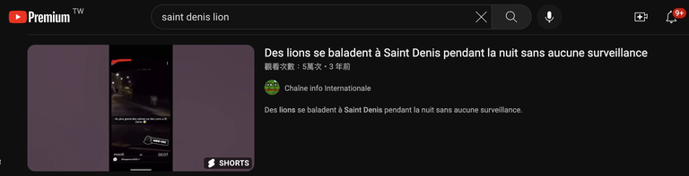 Search results showed that a video purportedly showing lions released during the recent riots across France was posted on YouTube three years ago. Credit: screenshot taken from YouTube