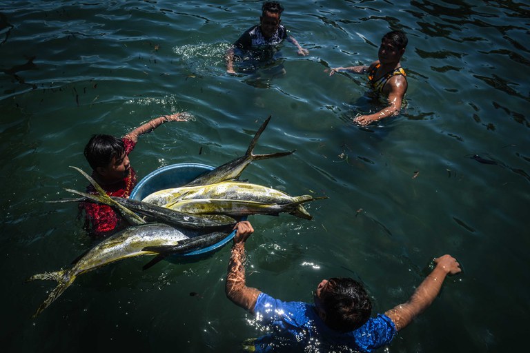 Fishermen unload their catch from the South China Sea waters within the Philippines’ jurisdiction, some of it from the vicinity of Scarborough Shoal, in the village of Cato in Infanta town, Pangasinan province, north of Manila, April 21, 2022. Jojo Riñoza/BenarNews