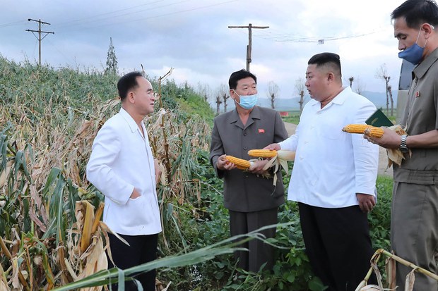 North Korea ‘mobilizes’ students to fight yearly ‘corn battle’